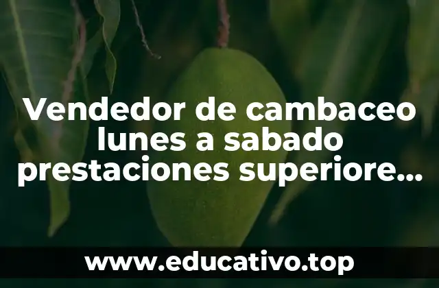 Vendedor de cambaceo lunes a sabado prestaciones superiore que es