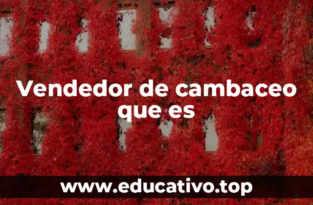 Vendedor de cambaceo que es