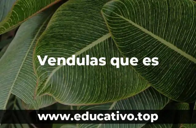 Vendulas que es