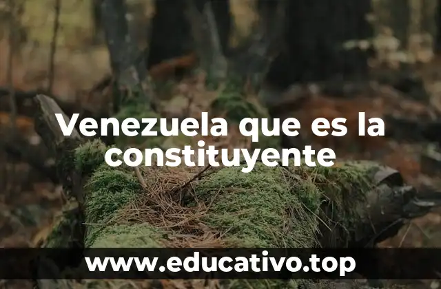 Venezuela que es la constituyente