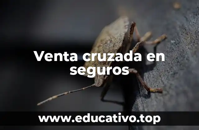 Venta cruzada en seguros