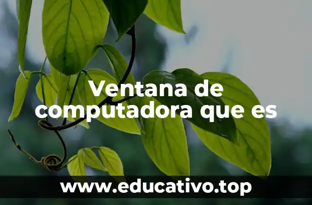 Ventana de computadora que es