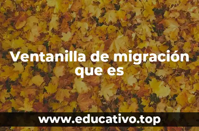 Ventanilla de migración que es