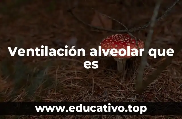 Ventilación alveolar que es