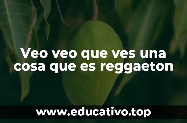 Veo veo que ves una cosa que es reggaeton