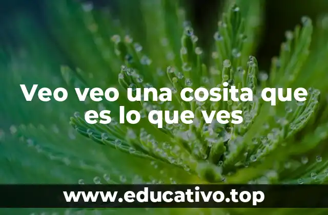 Veo veo una cosita que es lo que ves