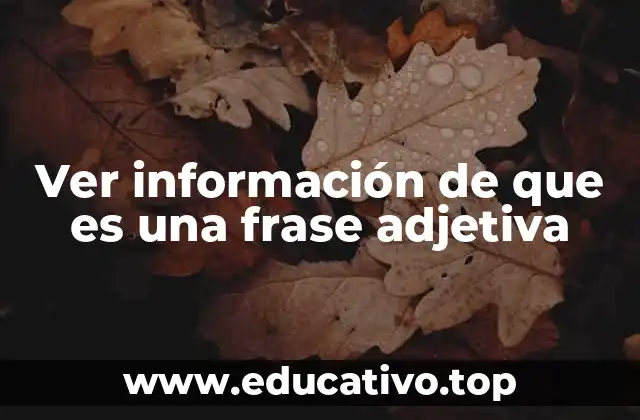 Ver información de que es una frase adjetiva