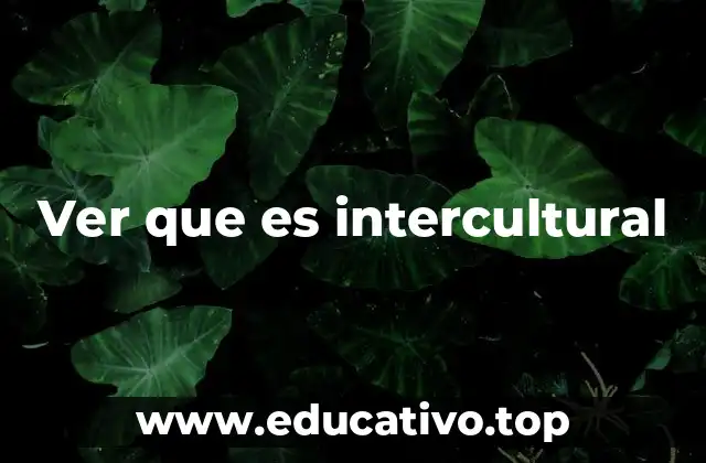 Ver que es intercultural