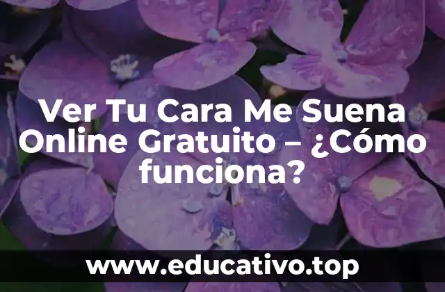 Ver Tu Cara Me Suena Online Gratuito – ¿Cómo funciona?
