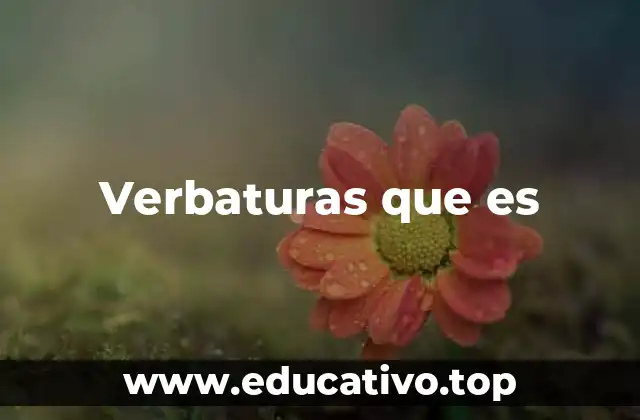Verbaturas que es