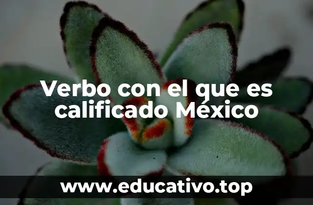 Verbo con el que es calificado México