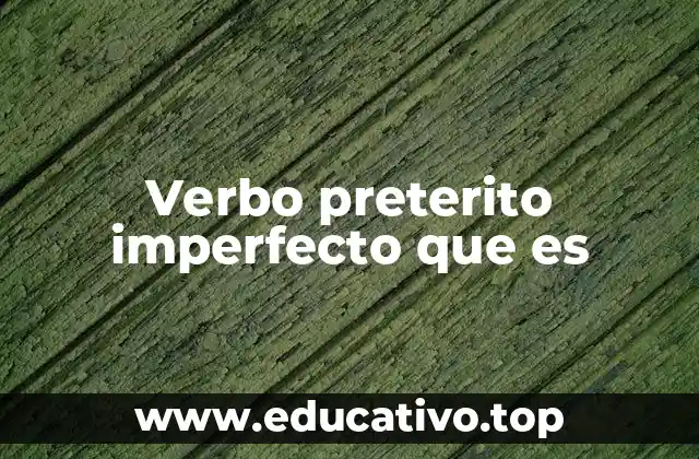Verbo preterito imperfecto que es