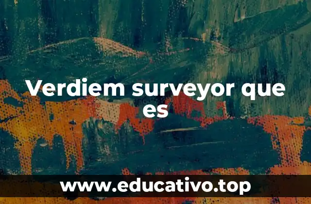 Verdiem surveyor que es