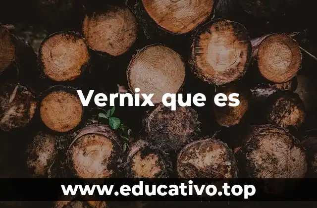 Vernix que es