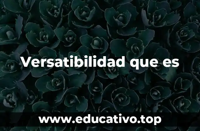 Versatibilidad que es