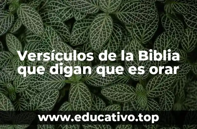 Versículos de la Biblia que digan que es orar