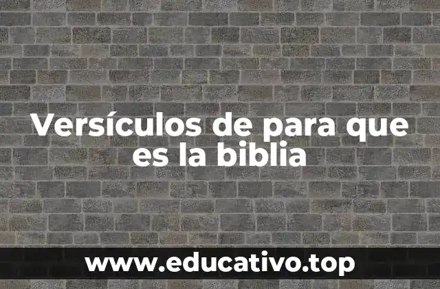 Versículos de para que es la biblia