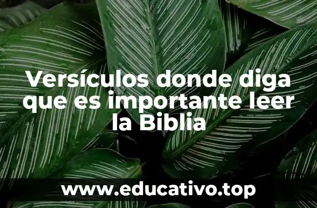 Versículos donde diga que es importante leer la Biblia