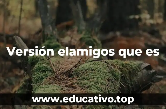 Versión elamigos que es