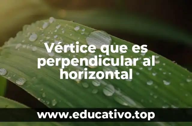 Vértice que es perpendicular al horizontal