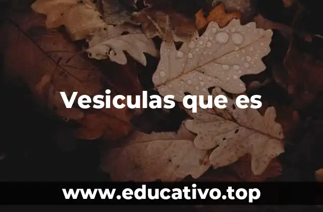 Vesiculas que es