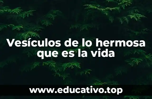 Vesículos de lo hermosa que es la vida