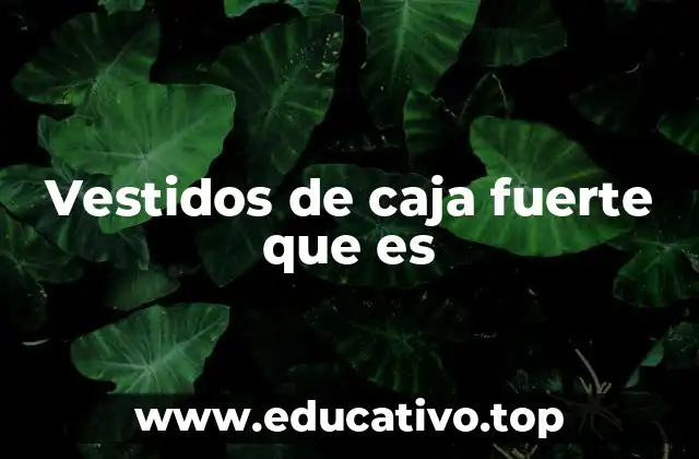 Vestidos de caja fuerte que es