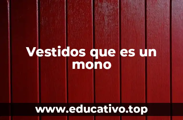 Vestidos que es un mono