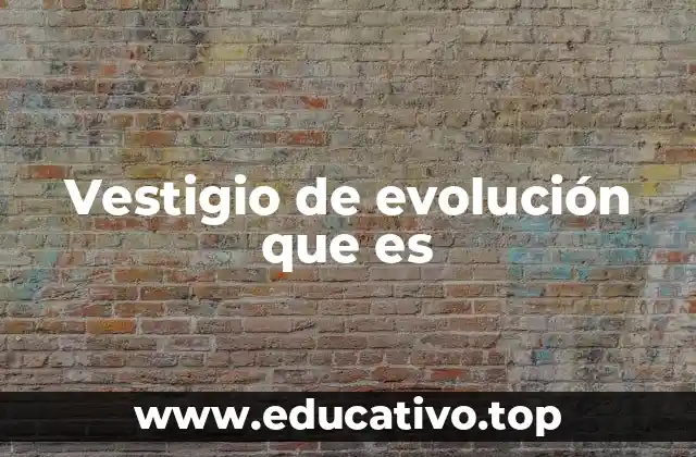 Vestigio de evolución que es