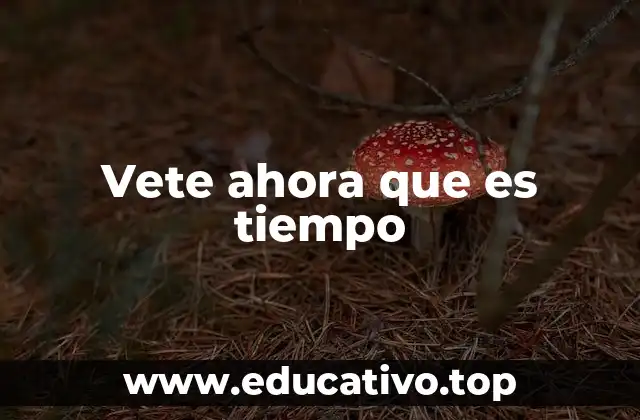 Vete ahora que es tiempo