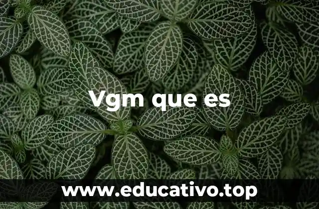 Vgm que es