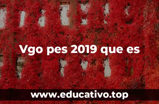 Vgo pes 2019 que es