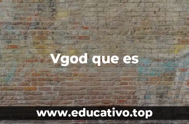 Vgod que es