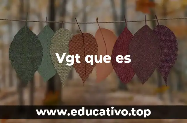 Vgt que es