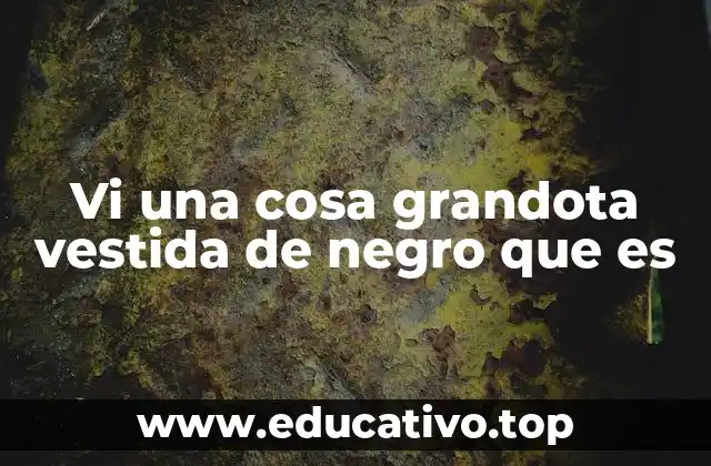 Vi una cosa grandota vestida de negro que es