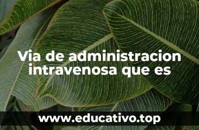 Via de administracion intravenosa que es
