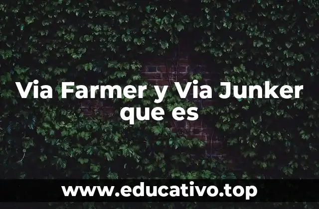 Via Farmer y Via Junker que es