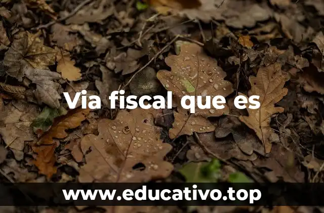 Via fiscal que es