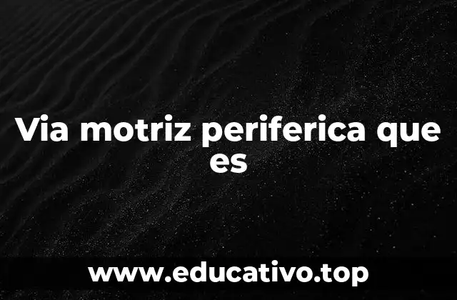 Via motriz periferica que es