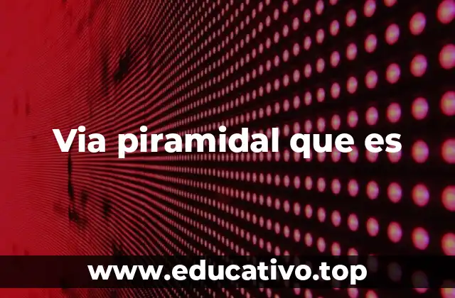 Via piramidal que es