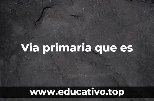 Via primaria que es