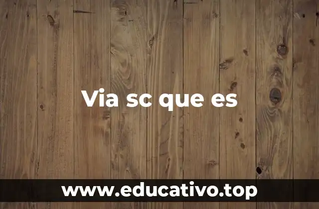 Via sc que es