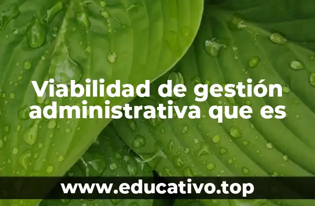 Viabilidad de gestión administrativa que es