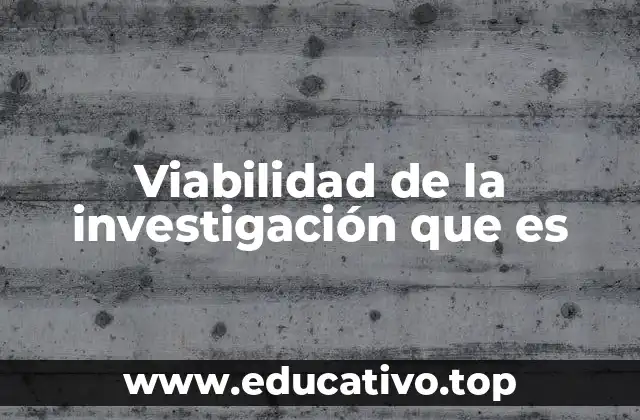 Viabilidad de la investigación que es