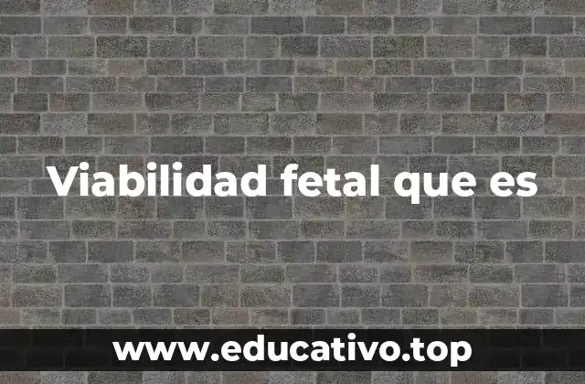 Viabilidad fetal que es
