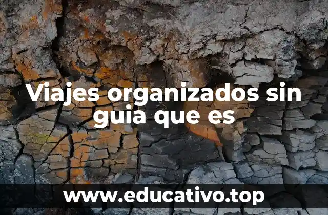 Viajes organizados sin guia que es