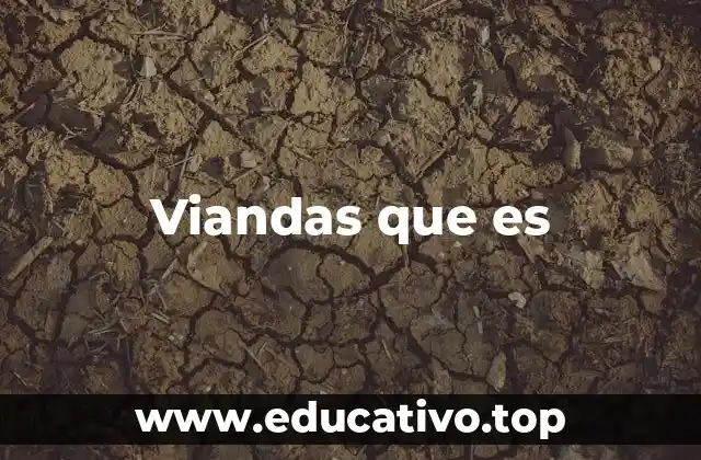 Viandas que es