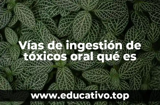 Vías de ingestión de tóxicos oral qué es