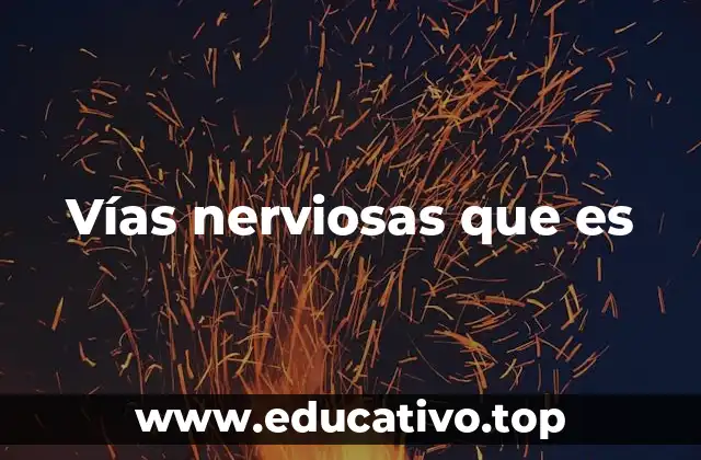 Vías nerviosas que es