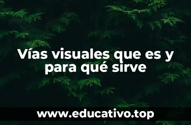 Vías visuales que es y para qué sirve